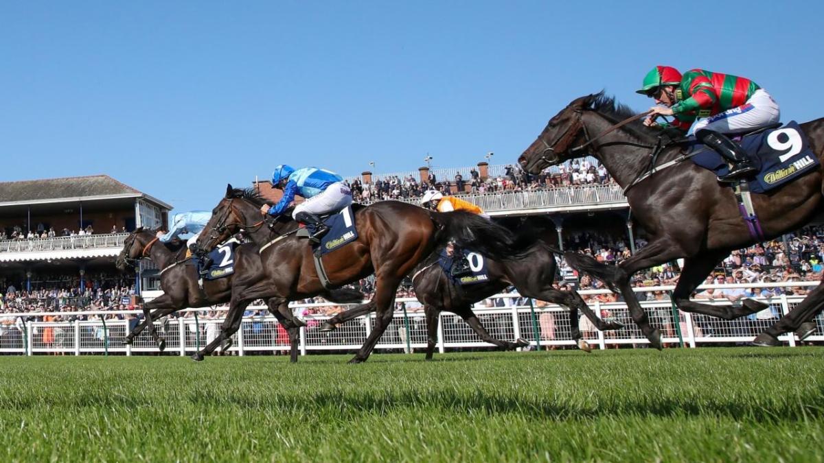 Horse racing at Ayr